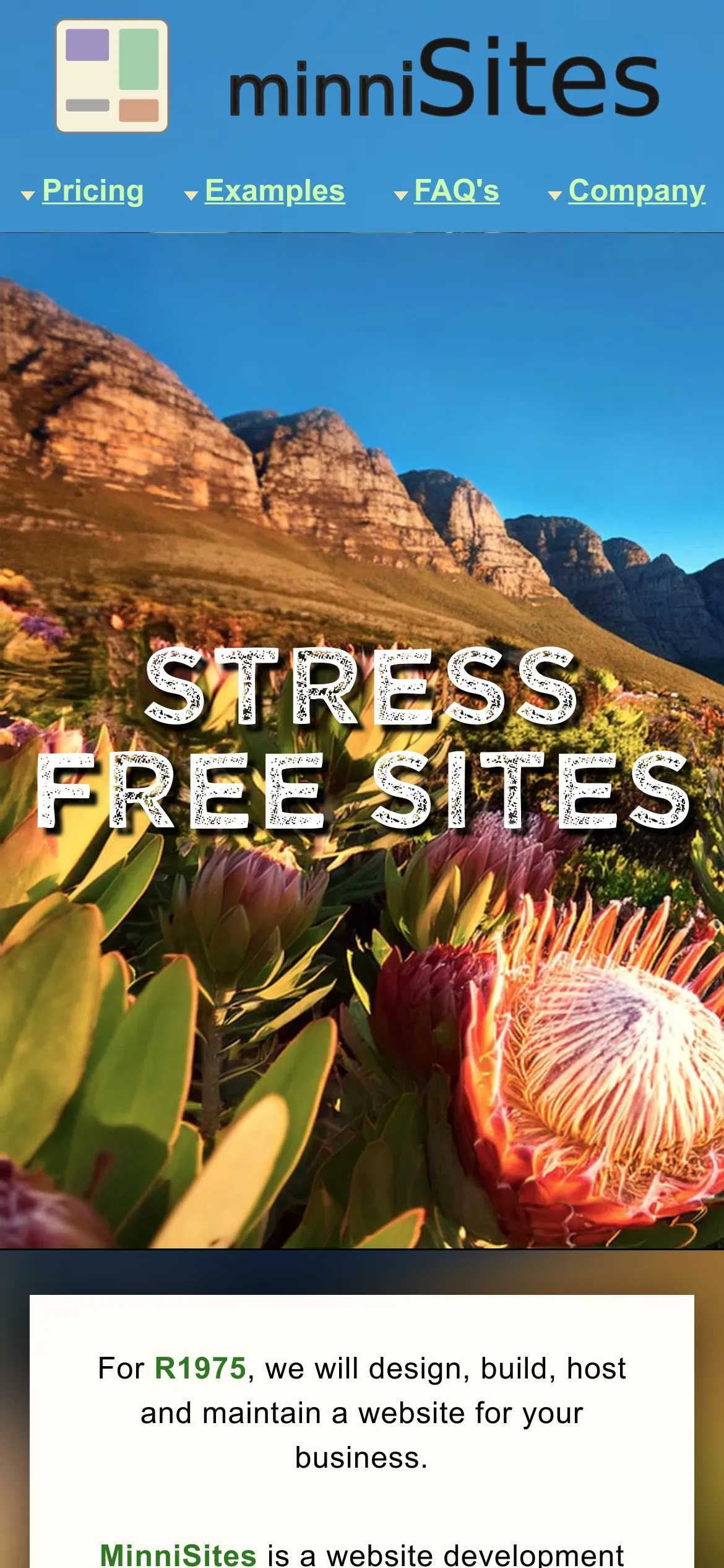 0350_minnisites_friendlies